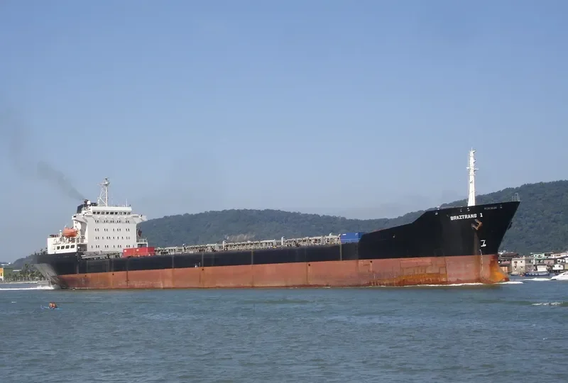 BRAZTRANS I Bulk Carrier IMO 7433610 photo 6