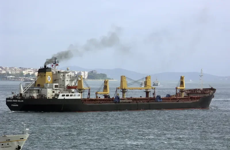 DOVER Bulk Carrier IMO 7433634 photo 3