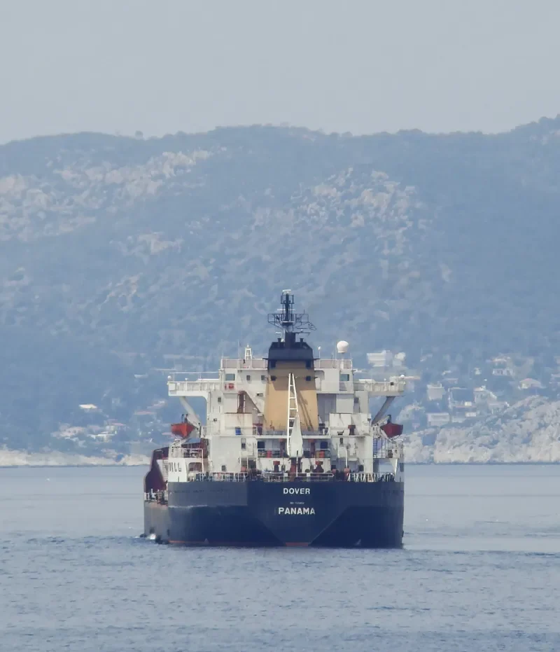 DOVER Bulk Carrier IMO 7433634 photo 4