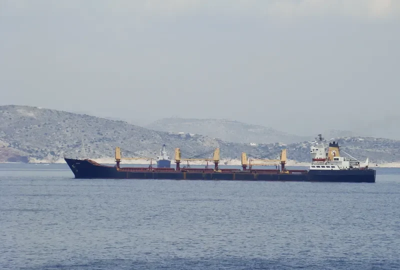 DOVER Bulk Carrier IMO 7433634 photo 5