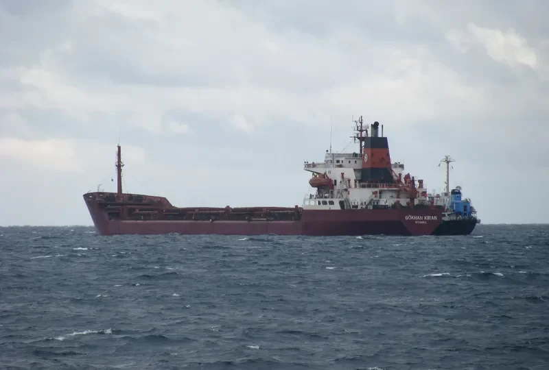 GOKHAN KIRAN Bulk Carrier IMO 7433696