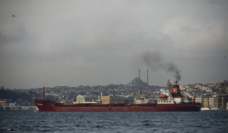 GOKHAN KIRAN Bulk Carrier IMO 7433696 photo 2
