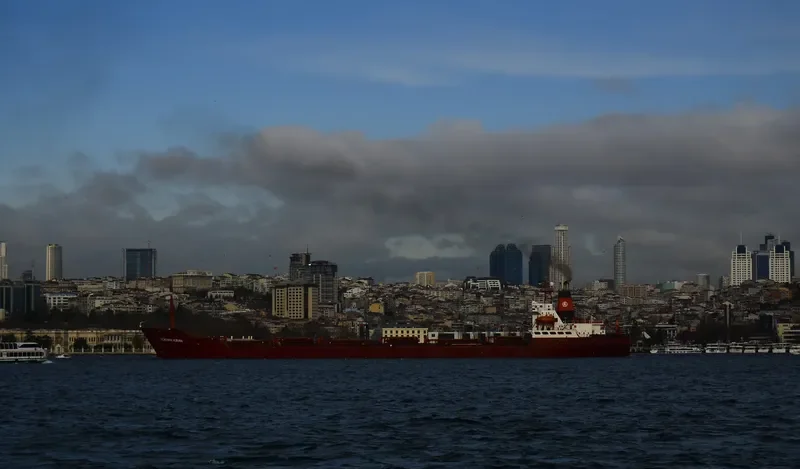 GOKHAN KIRAN Bulk Carrier IMO 7433696 photo 3
