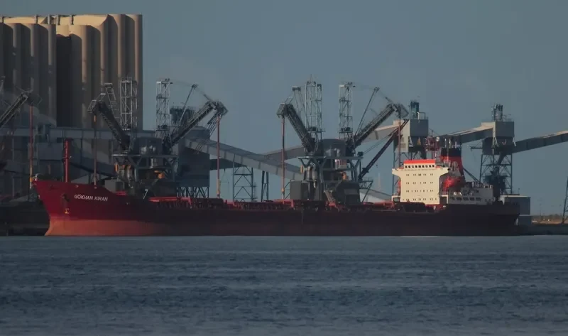 GOKHAN KIRAN Bulk Carrier IMO 7433696 photo 4
