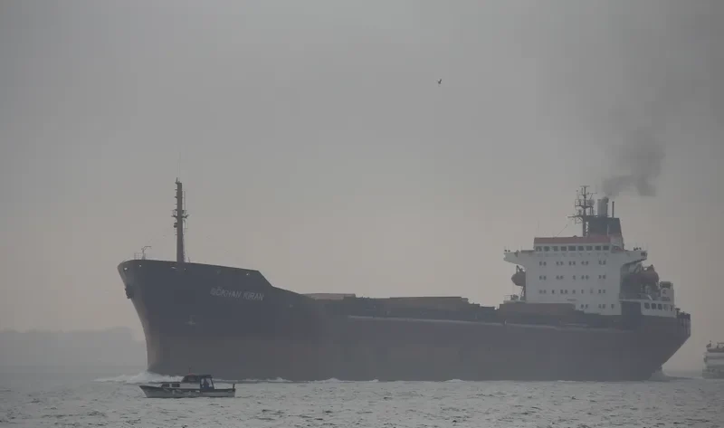 GOKHAN KIRAN Bulk Carrier IMO 7433696 photo 7