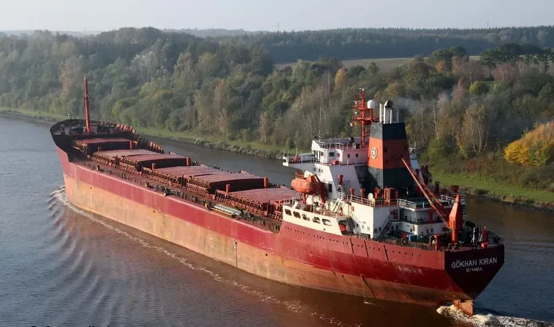 GOKHAN KIRAN Bulk Carrier IMO 7433696 photo 9