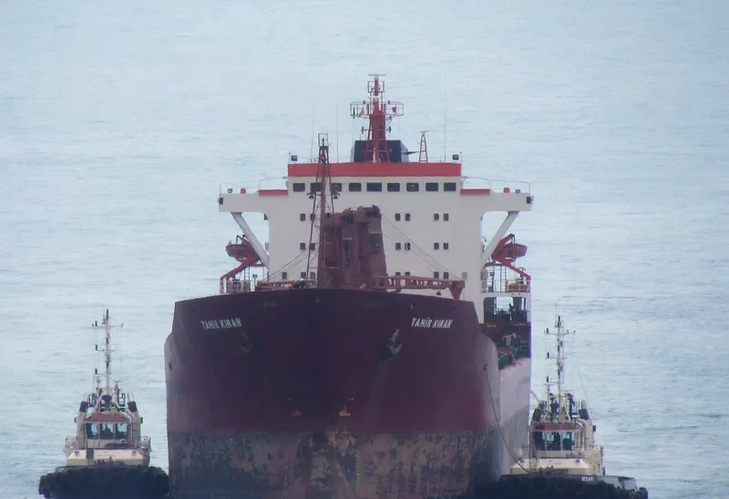 TAHIR KIRAN Bulk Carrier IMO 7433713 photo 4