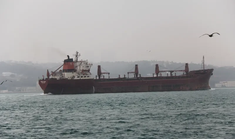 TAHIR KIRAN Bulk Carrier IMO 7433713 photo 5