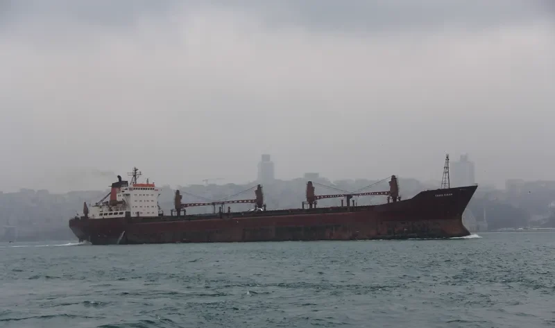 TAHIR KIRAN Bulk Carrier IMO 7433713 photo 6