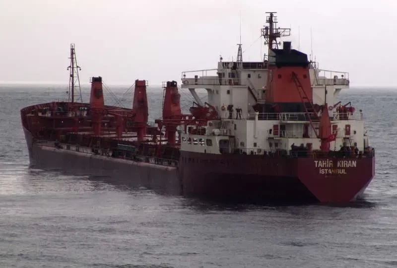 TAHIR KIRAN Bulk Carrier IMO 7433713 photo 7