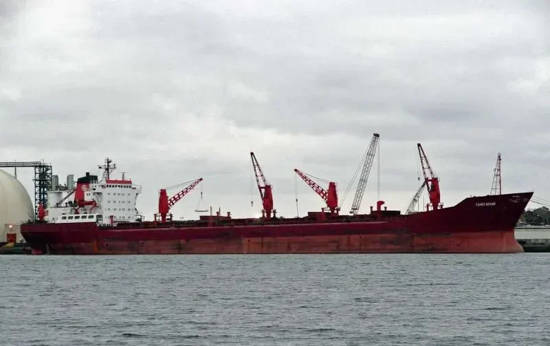 TAHIR KIRAN Bulk Carrier IMO 7433713 photo 8
