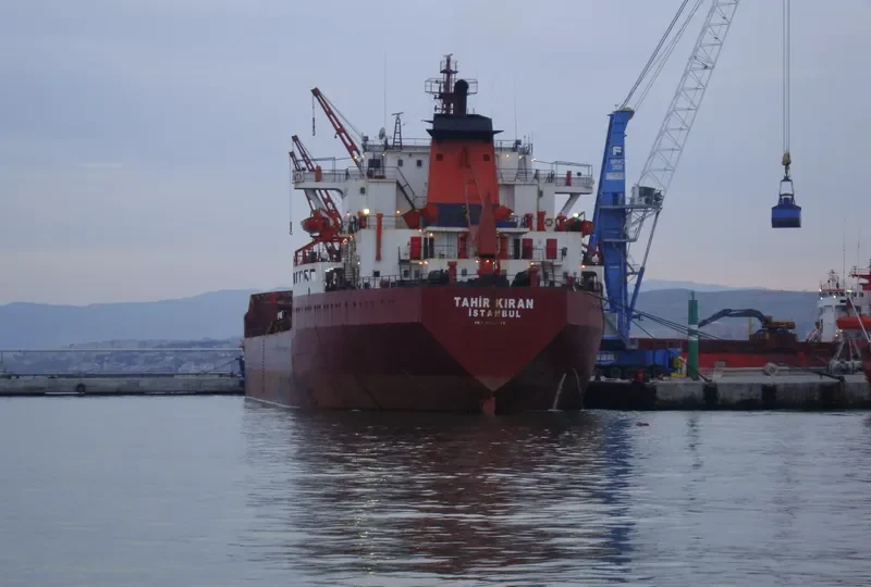 TAHIR KIRAN Bulk Carrier IMO 7433713 photo 9