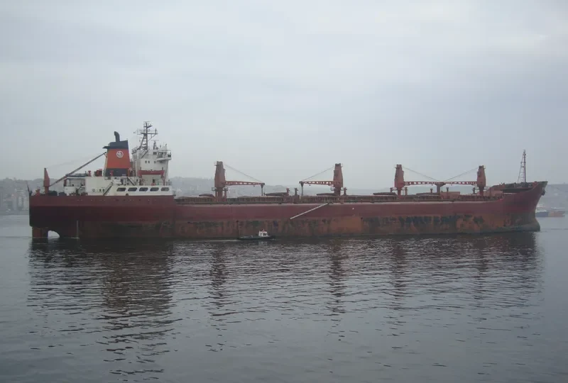 TAHIR KIRAN Bulk Carrier IMO 7433713 photo 10