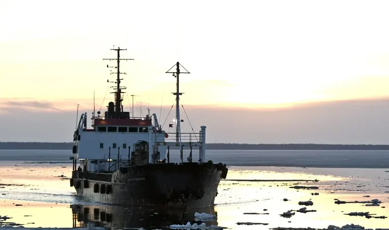 ANATOLY BILICHENKO Tanker IMO 7434195 photo 6