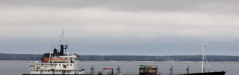 ANATOLY BILICHENKO Tanker IMO 7434195 photo 7