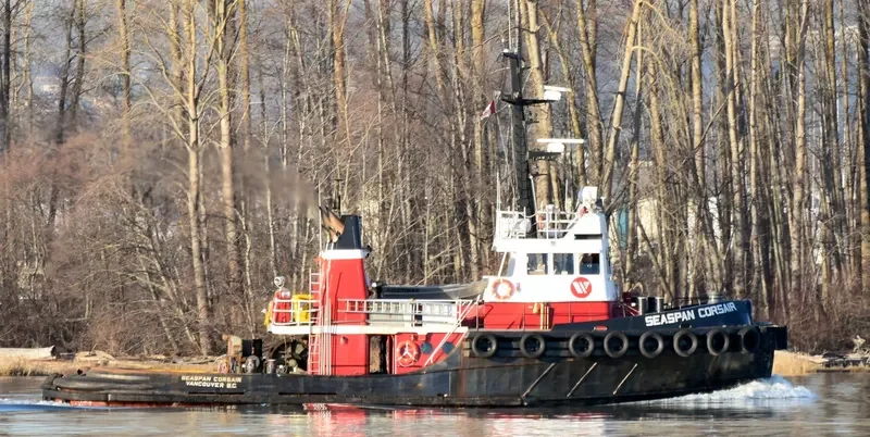SEASPAN CORSAIR General Cargo IMO 7434779 photo 4
