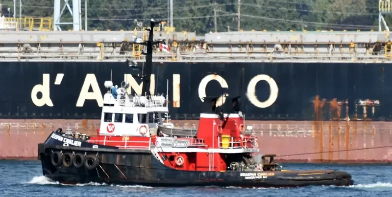 SEASPAN CAVALIER General Cargo IMO 7434808