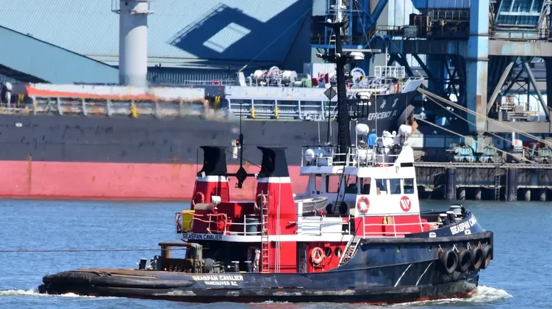 SEASPAN CAVALIER General Cargo IMO 7434808 photo 4