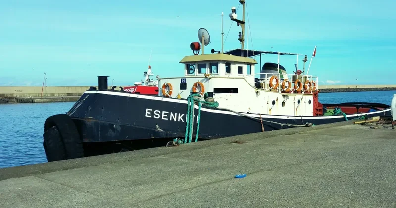 ESENKIYI General Cargo IMO 7434858 photo 6