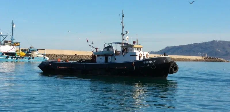 ESENKIYI General Cargo IMO 7434858 photo 7