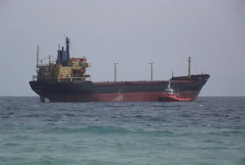 PERLA ADIB Bulk Carrier IMO 7434937