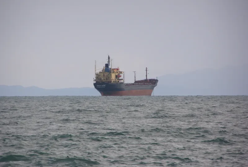PERLA ADIB Bulk Carrier IMO 7434937 photo 5