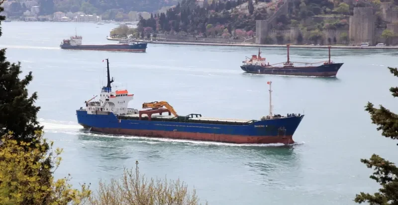V TIAMOND K General Cargo IMO 7435046