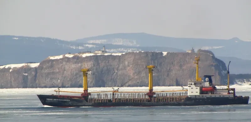 PIONER YUZHNO SAKHALINSKA General Cargo IMO 7436569