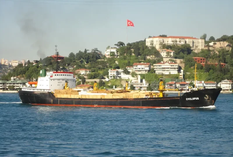 PERSEUS K General Cargo IMO 7436636 photo 8