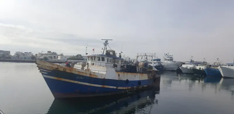 SALMEN Fishing Vessel IMO 7437379