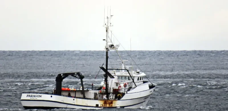 PARAGON General Cargo IMO 7437630