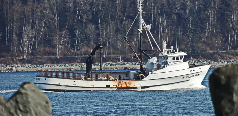 PARAGON General Cargo IMO 7437630 photo 2