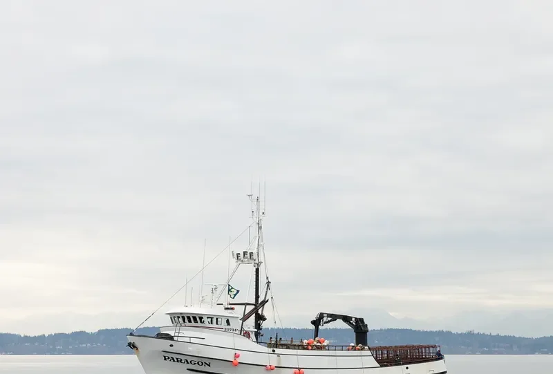 PARAGON General Cargo IMO 7437630 photo 3