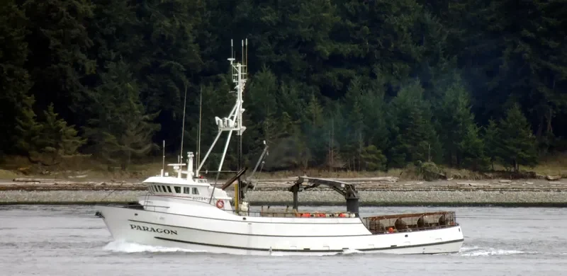 PARAGON General Cargo IMO 7437630 photo 6