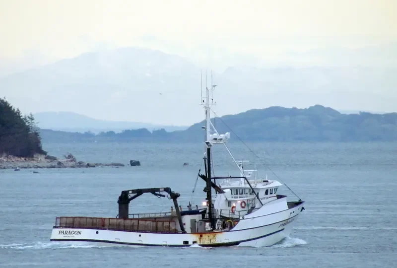 PARAGON General Cargo IMO 7437630 photo 10