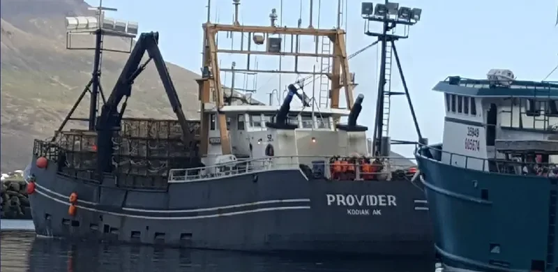 PROVIDER General Cargo IMO 7437654