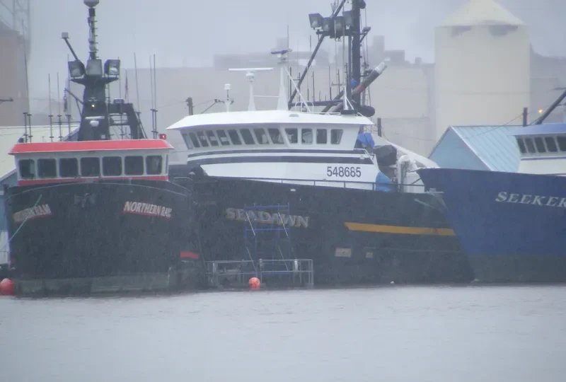 SEADAWN General Cargo IMO 7437692 photo 2
