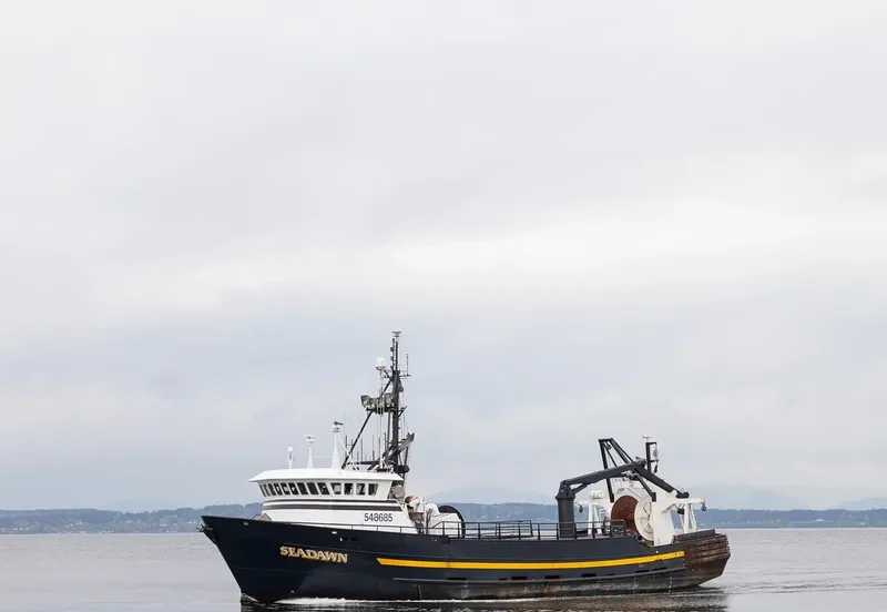 SEADAWN General Cargo IMO 7437692 photo 3