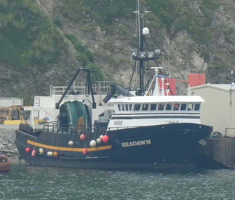 SEADAWN General Cargo IMO 7437692 photo 8