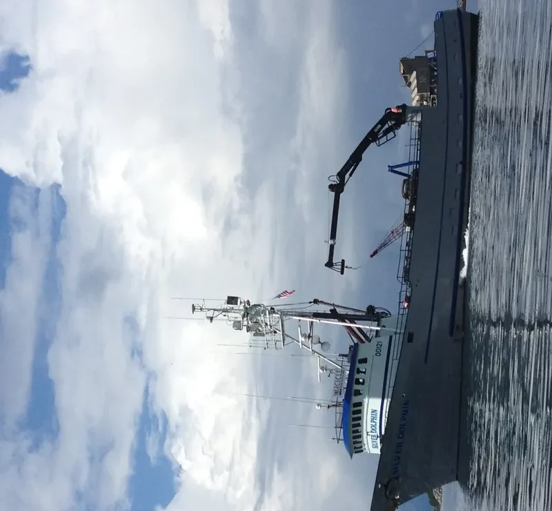 SILVER DOLPHIN General Cargo IMO 7437721