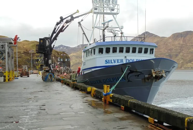 SILVER DOLPHIN General Cargo IMO 7437721 photo 2