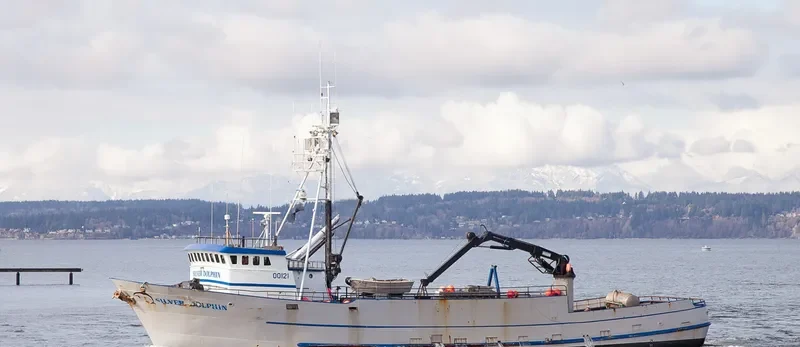 SILVER DOLPHIN General Cargo IMO 7437721 photo 3
