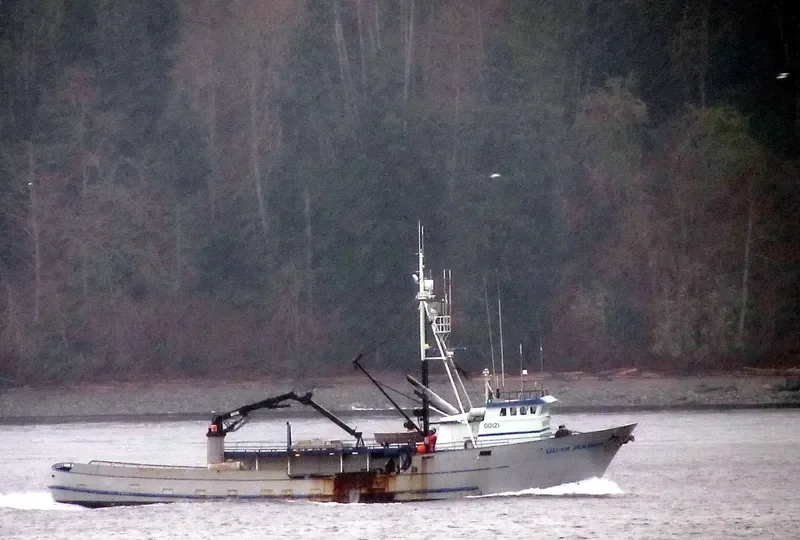 SILVER DOLPHIN General Cargo IMO 7437721 photo 4