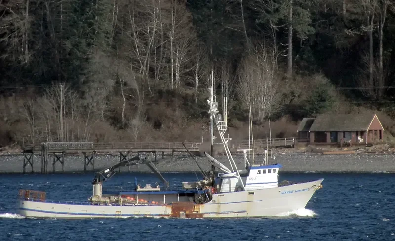 SILVER DOLPHIN General Cargo IMO 7437721 photo 5