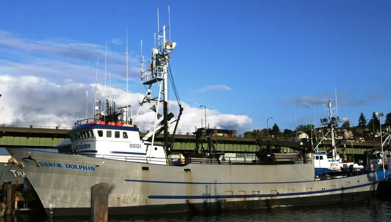 SILVER DOLPHIN General Cargo IMO 7437721 photo 6