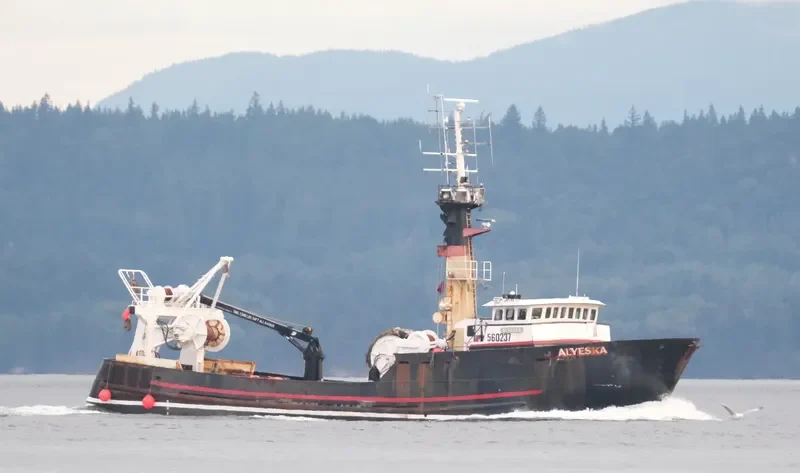 ALYESKA General Cargo IMO 7437783 photo 7