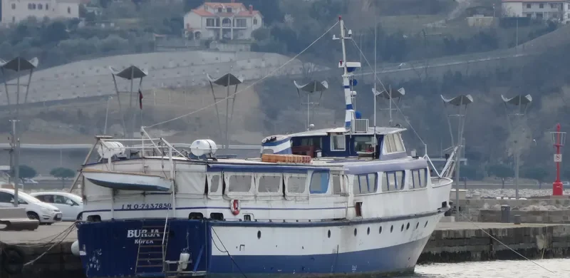 BURJA Passenger Vessel IMO 7437850 photo 2