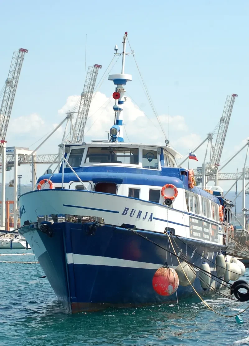 BURJA Passenger Vessel IMO 7437850 photo 5