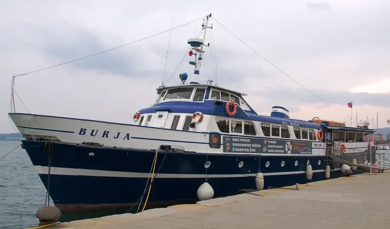 BURJA Passenger Vessel IMO 7437850 photo 6