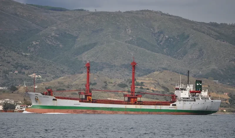 AL AMER General Cargo IMO 7500255 photo 7